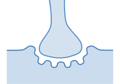 Restore Muscle Biofunction