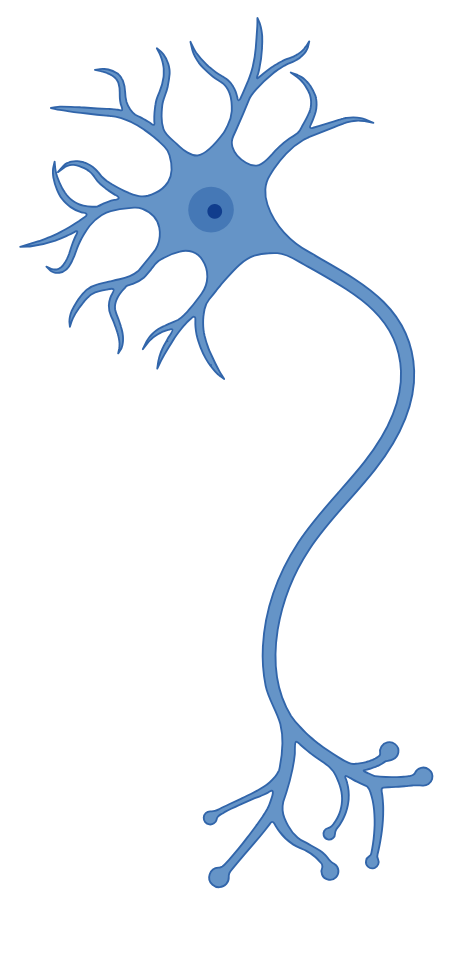 Modulate Pain and Edema