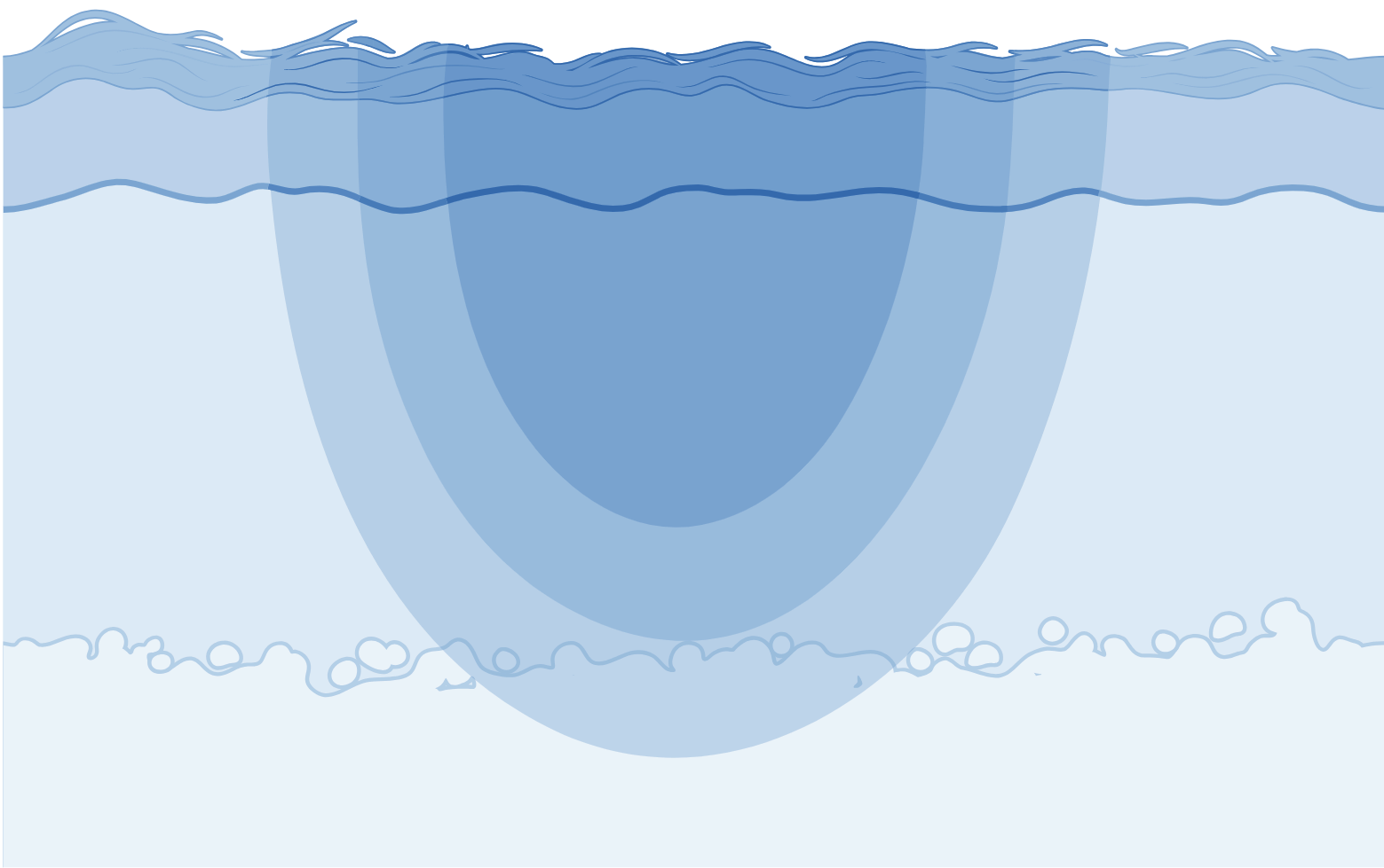 Transepithelial Potential